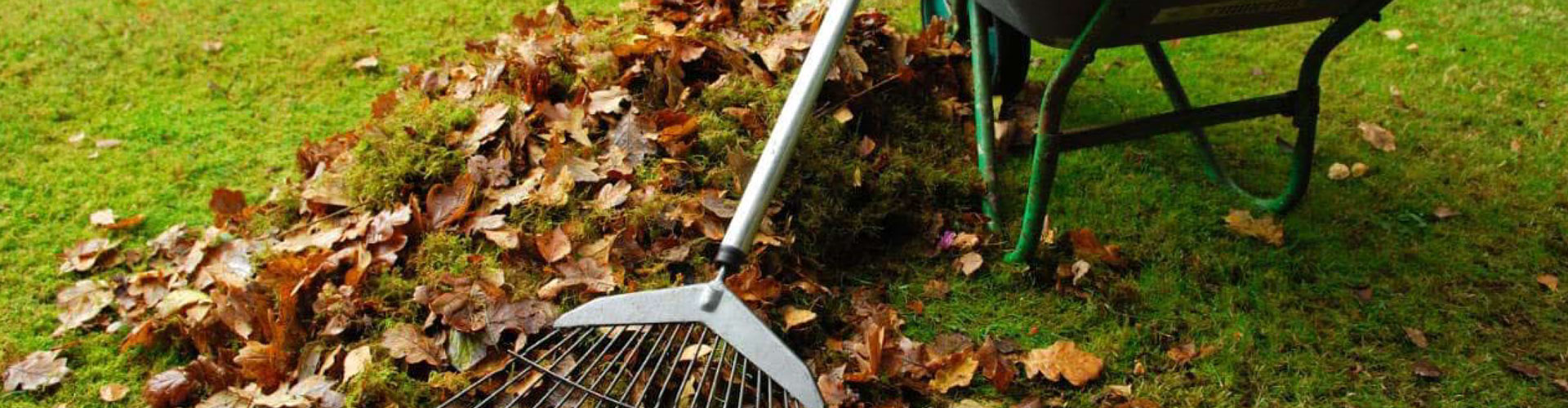 Garden and Outdoor Cleaning