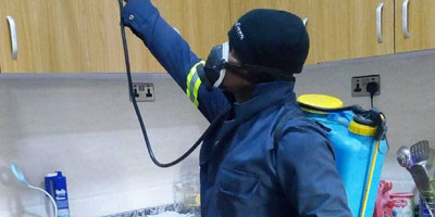 Fumigation Services